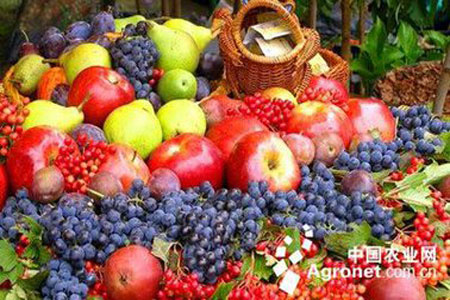 黄鳝价格,农业养殖项目